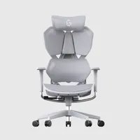 Ghế Công thái học Gami X5 Pro